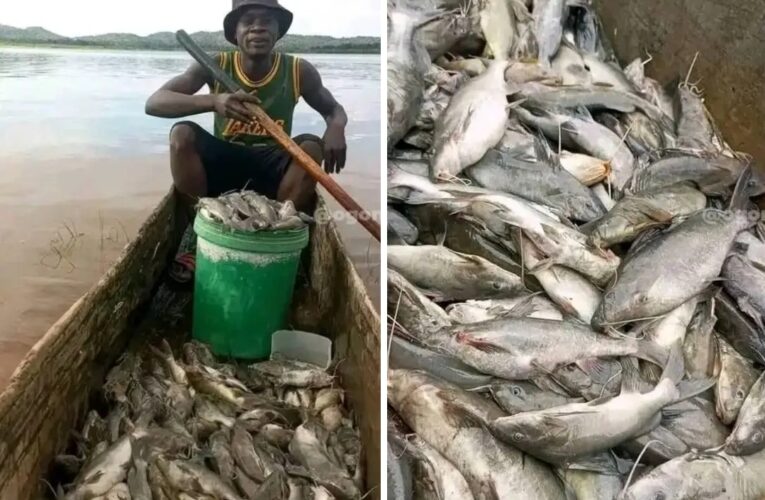 Bodo Fisherman Returns With Massive Catch, Celebrates Abundant Harvest