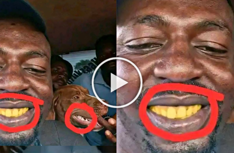 😳😂 MAN’S vs DOG TEETH: MAN’S BEST FRIEND? INTERNET REACTS TO VIRAL PHOTO OF MAN AND DOG