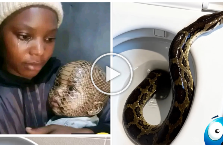 SNAKE IN THE TOILET 