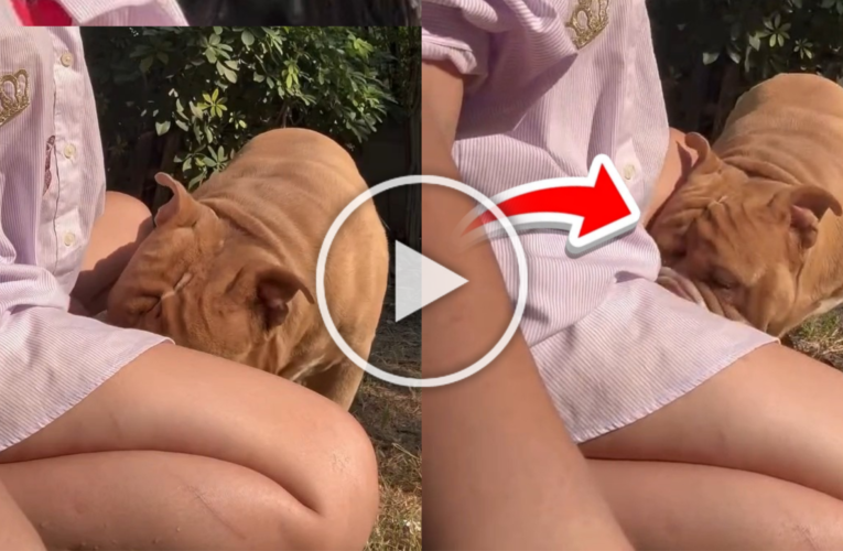 Dog giving white girl head