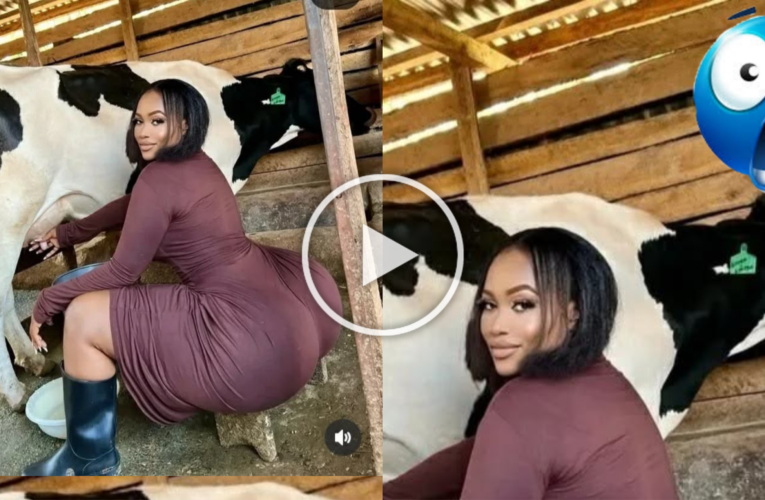Cow Girl Casted