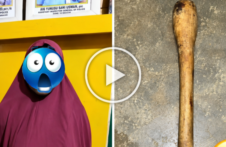 🚨 35-YEAR-OLD WOMAN ALLEGEDLY K¡LLS CO-WIFE WITH PESTLE IN BAUCHI